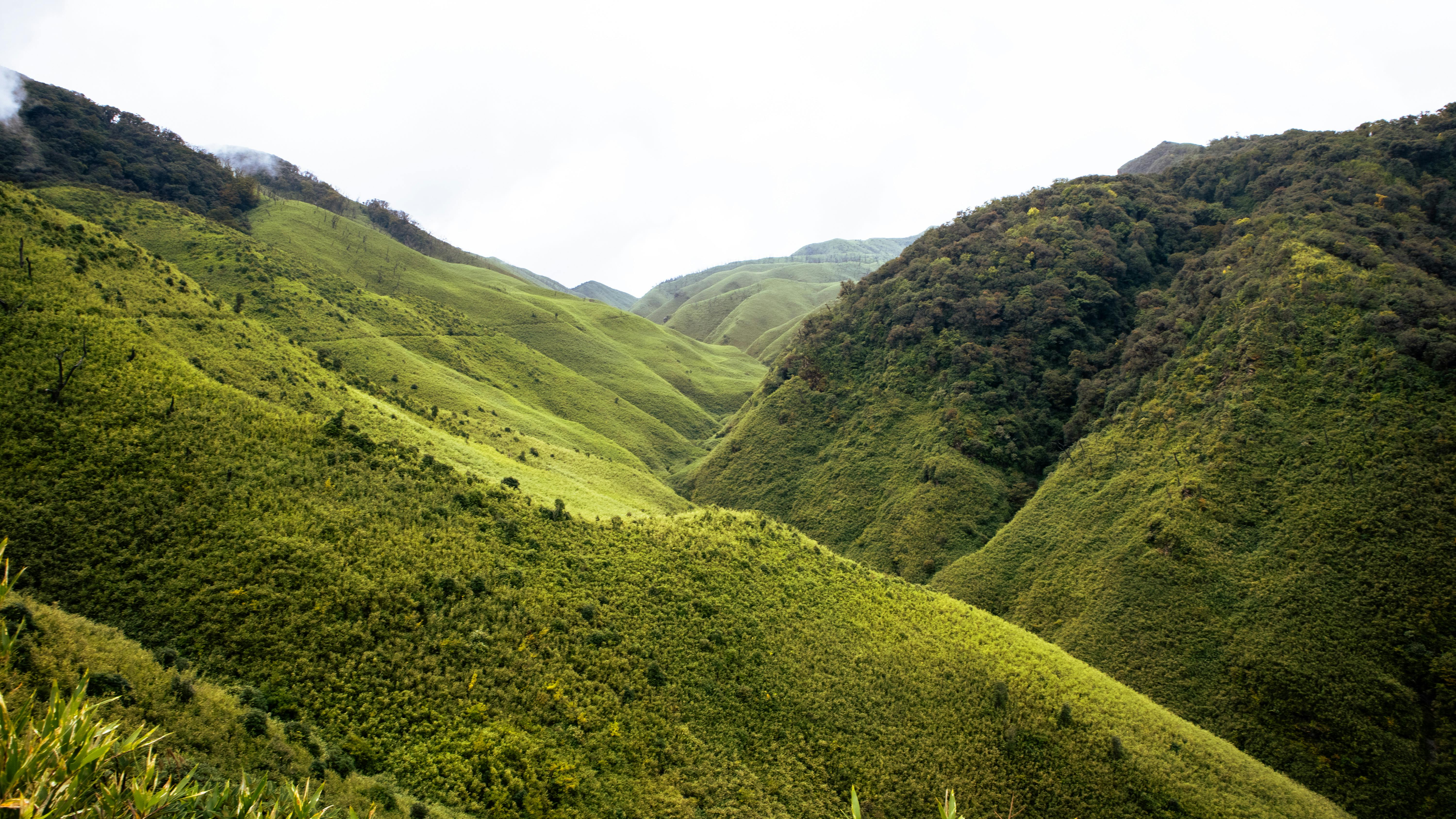 Great Landscape