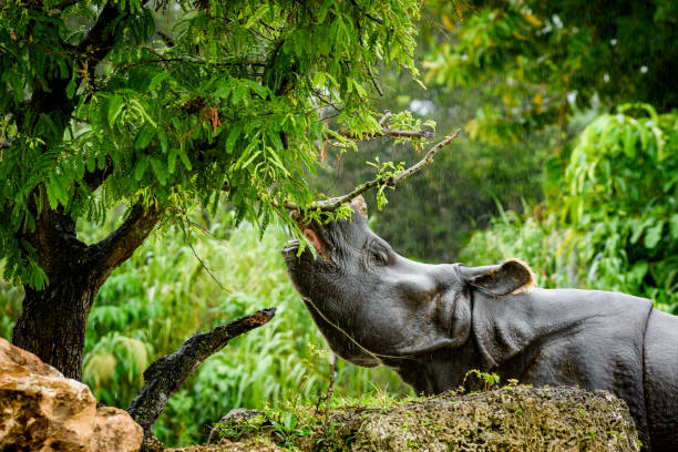 Wildlife Sanctuary