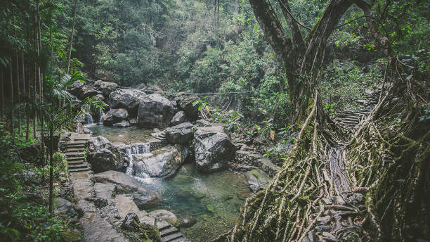 Top 10 Must-Visit Places in Meghalaya